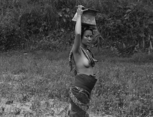 Artini, Ubud Rise Field 2014