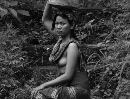 Artini, Ubud Rise Field 2014